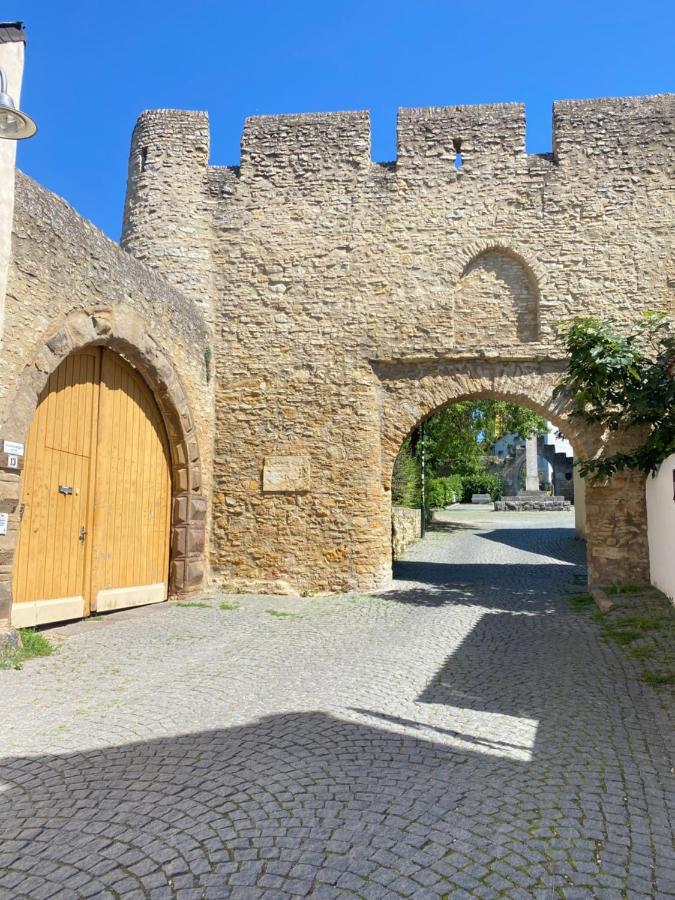Villa Haeuschen Am Plenzer à Ingelheim-sur-le-Rhin Extérieur photo