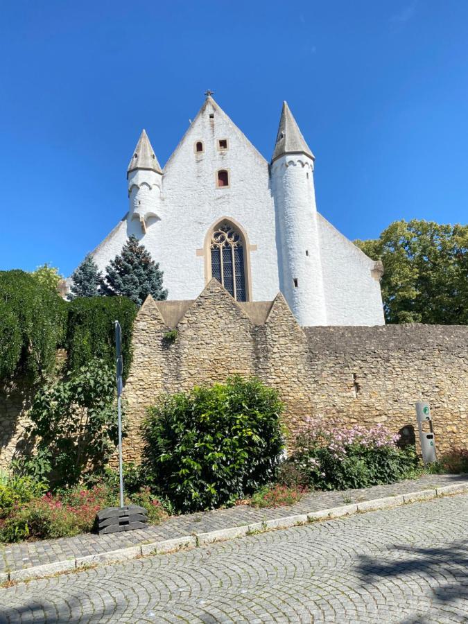 Villa Haeuschen Am Plenzer à Ingelheim-sur-le-Rhin Extérieur photo