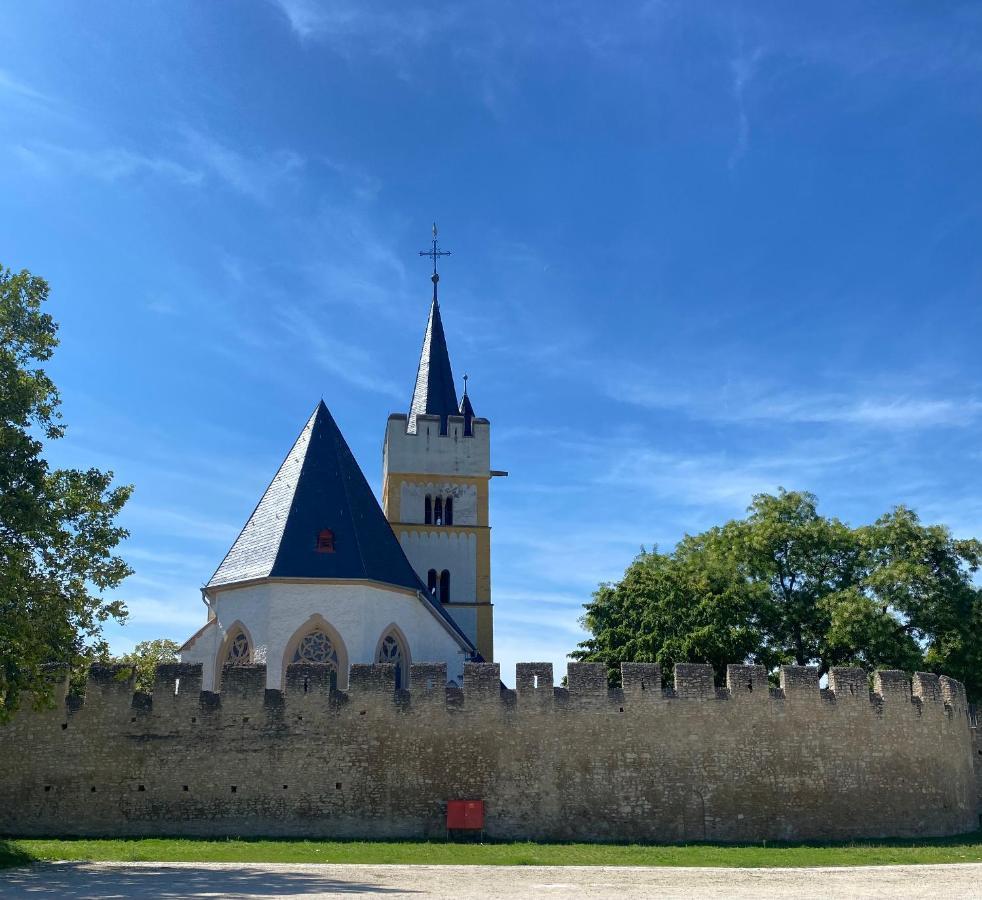 Villa Haeuschen Am Plenzer à Ingelheim-sur-le-Rhin Extérieur photo