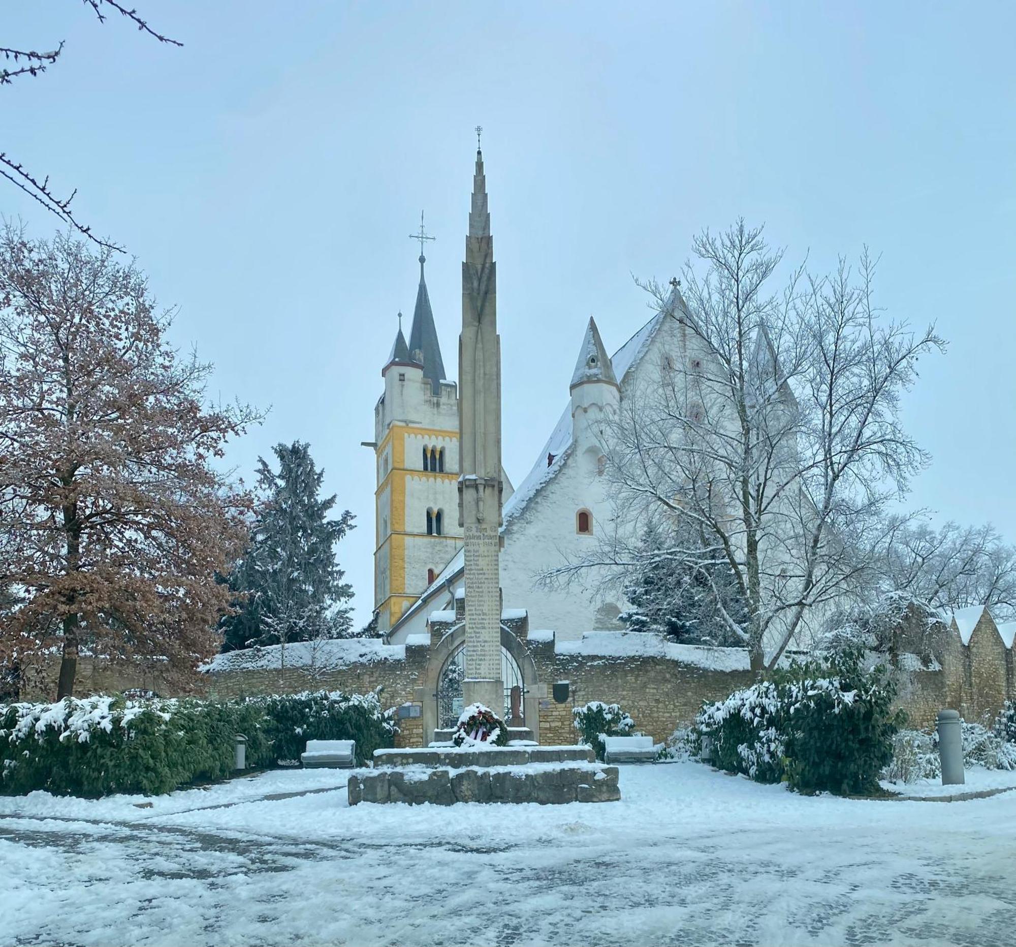Villa Haeuschen Am Plenzer à Ingelheim-sur-le-Rhin Extérieur photo